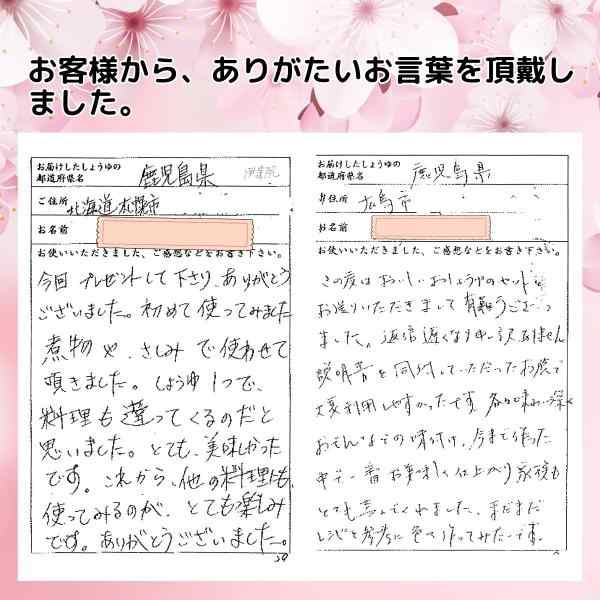 さくら めんつゆ 500ml×12本 ストレート だし 出汁 伊集院食品 鹿児島の醤油 甘口 塩分控えめ 調味料 かつおぶし 送料無料 ※一部地域除くの通販は