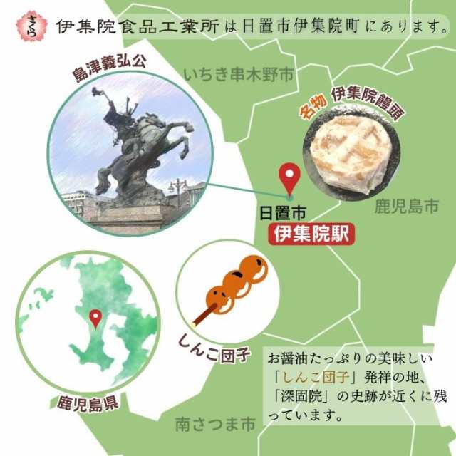 さくら めんつゆ 500ml×12本 ストレート だし 出汁 伊集院食品 鹿児島の醤油 甘口 塩分控えめ 調味料 かつおぶし 送料無料 ※一部地域除くの通販は