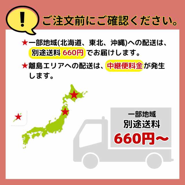 さくら めんつゆ 500ml×12本 ストレート だし 出汁 伊集院食品 鹿児島の醤油 甘口 塩分控えめ 調味料 かつおぶし 送料無料 ※一部地域除くの通販は