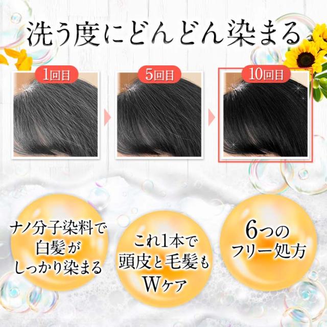 公式正規品】 KUROKAMINA (クロカミナ） 黒髪シャンプー 300g 白髪染め