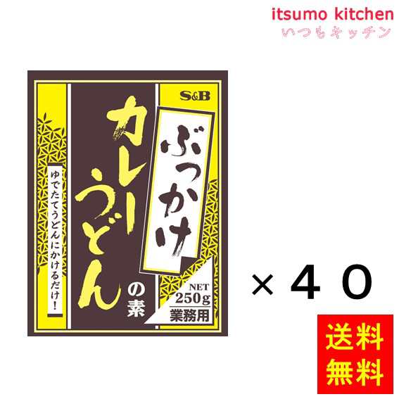 送料無料 ぶっかけカレーうどんの素 250gx40袋 エスビー食品