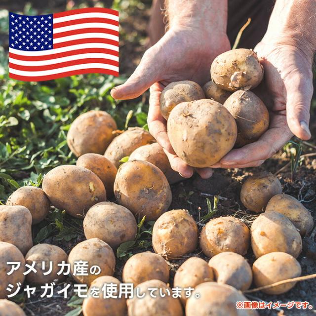 【50％OFF！6,→3,】 お中元 冷凍食品 惣菜 ハンバーグ　から揚げ/ガスト×から好し　おかずセット3種5袋(ガストおかずセット)/冷凍ハンバーグ デミグラスソース ポテト 洋食 洋風惣菜 お惣菜 おかず 弁当 湯煎 湯せん 温めるだけ 一人暮らし 簡単調理 洋風冷凍惣菜