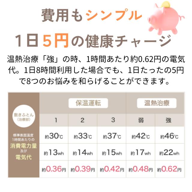 西川 ローズテクニーLS2 シングル 電位 治療 敷布団 健康敷布団 温かい 冷え 肩こり 日本製 グレー_11
