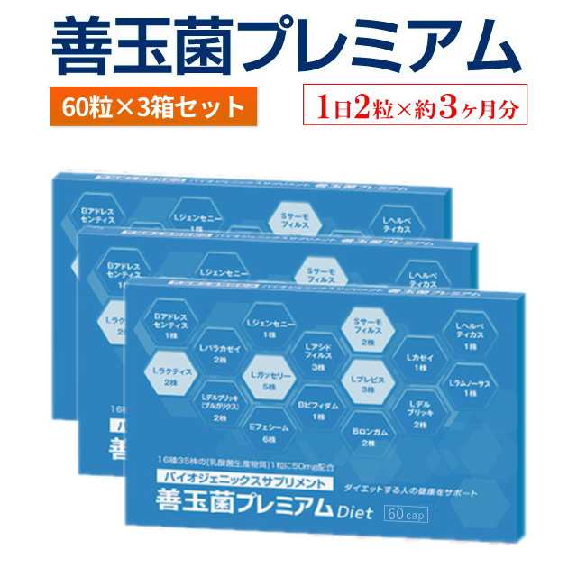 【送料無料】善玉菌プレミアム 60粒入り×3個セット（合計180粒）【1日2粒×約3ヶ月分】腸活 サプリ 乳酸菌 ダイエット 善玉菌 痩せ菌