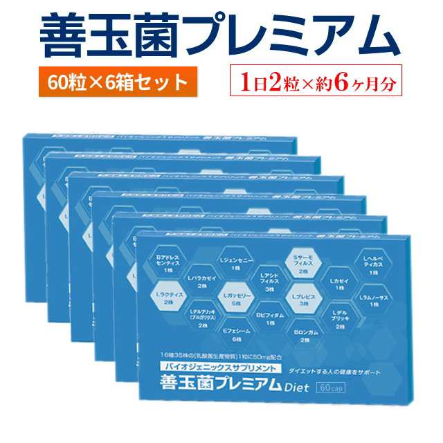 【送料無料】善玉菌プレミアム 60粒入り×6個セット（合計360粒）【1日2粒×約6ヶ月分】腸活 サプリ 乳酸菌 ダイエット 善玉菌 痩せ菌