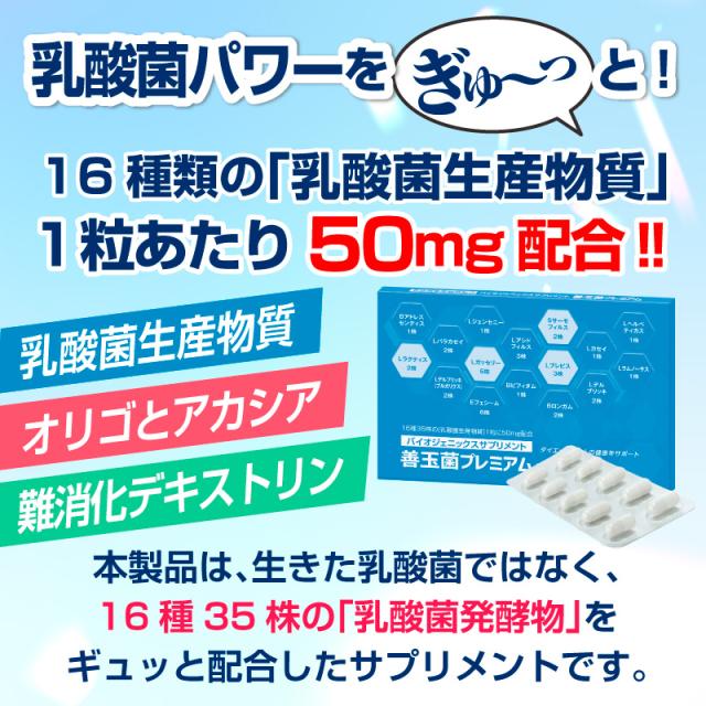 善玉菌サプリ 善玉菌プレミアム 30粒入り×6個セット（合計180粒）【1日1粒×約6ヶ月分】善玉菌 乳酸菌 乳酸菌生産物質 乳酸菌生産物質 1粒あたり 50mg 配合_2