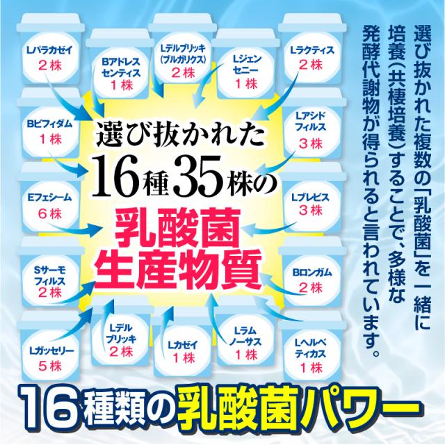 善玉菌サプリ 善玉菌プレミアム 30粒入り×6個セット（合計180粒）【1日1粒×約6ヶ月分】善玉菌 乳酸菌 乳酸菌生産物質 乳酸菌生産物質 1粒あたり 50mg 配合_7