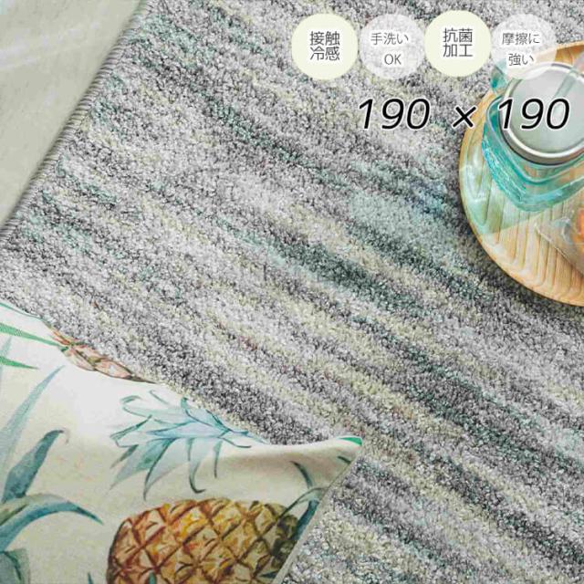 [送料無料]ラグ カーペット オアシス チャコールミックス 190×190 クール ひんやり 防ダニ 抗菌 防臭 すべり止め リビング グラムスタイルの通販は 13,528円
