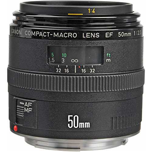 【中古】 キヤノン EF 50 mm f / 2.5コンパクトマクロレンズ