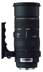 【中古】 ニコン シグマ 50-500mm F4-6.3APO EX DG HSM ニコン用の通販は 49,583円