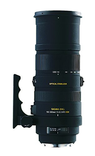 【中古】 ニコン用 SIGMA 超望遠ズームレンズ APO 150-500mm F5-6.3 DG OS HSM ニコン用 フルサイズ対応 737559