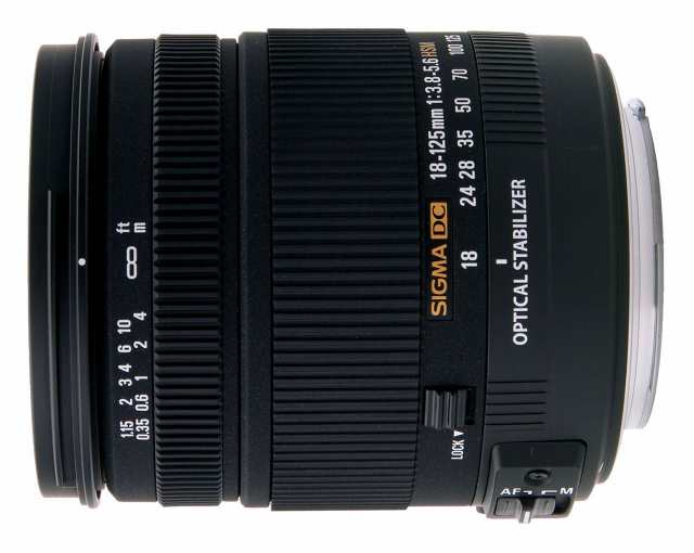 【中古】 シグマ 18-125mm F3.8-5.6 DC HSM ソニー用