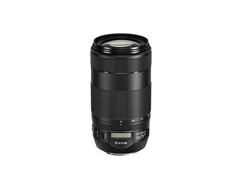 【中古】 通常版 Canon 望遠ズームレンズ EFレンズ EF70-300mm F4-5.6 IS II USMフルサイズ対応 EF70-300IS2U