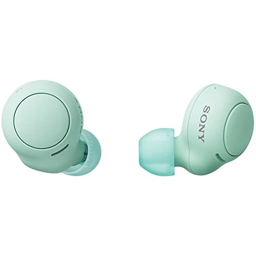 【中古】 コーラルオレンジ_1) 単品 ソニー(SONY) 完全ワイヤレスイヤホン WF-C500 : /軽量小型5.4g/高精度通話品質/簡単ペアリング/IPX4防滴性能/アイスグリーン WF-C500 GZの通販は
