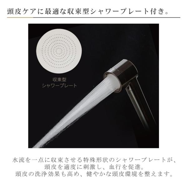 シャワーヘッド ホリスティックキュア HOLISTIC CURE SHOWER HEAD