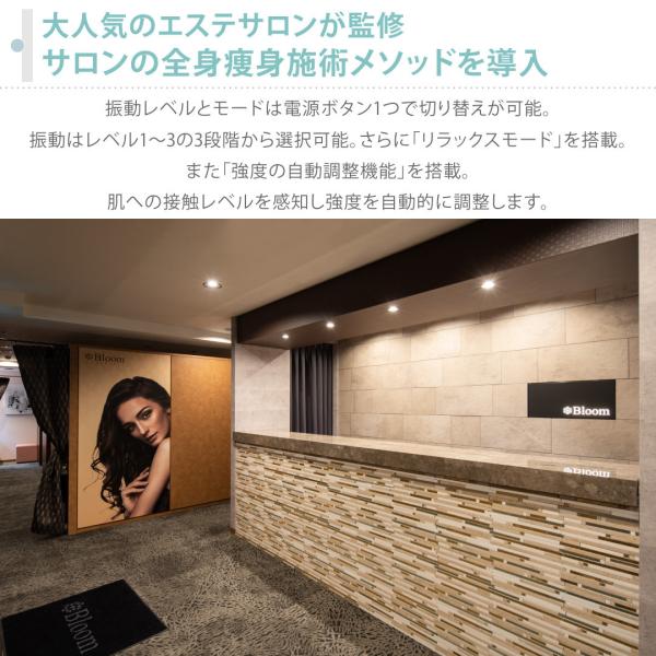 ダダダ！ヒットボーテ DHB-01WM マッサージ機 ハンディ ガン フェイス リフト ケア 振動マシン 小型 軽量 電動 筋膜リリース 筋肉_4