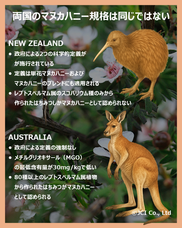 モソップ マヌカハニー (2.5kg) 低温濾過 自然粒状化製法 　家庭用にも業務用にも、ゆとりのサイズ　17時までのご注文で当日発送・年中無休　送料無料_11
