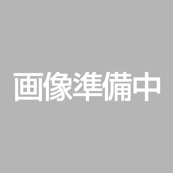 軽カー 15インチ 165/55R15 おすすめ サマータイヤホイール 4本セット シュタイナー FTX 15インチ 4.5J 45 4H100 サテンシルバー×リムポリッシュ N-BOX タント