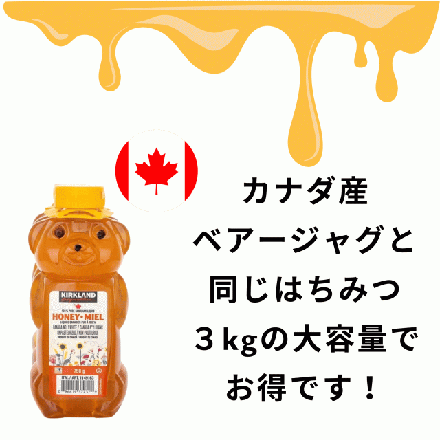コストコ/カークランドシグネチャー/ ハチミツ カナダ産 3Kg×3本