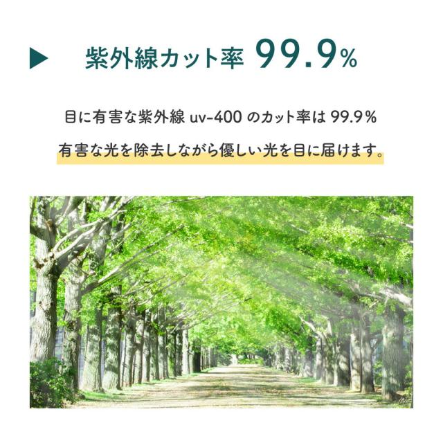 鯖江 サングラス トライガード 【レビューでポイント10%還元】 調光サングラス メガネ 眼鏡 薄い色 目に優しい UVカット メラニン抑制 メンズ レディース TRIGUARD クリアレンズ 高品質 白内障 術後 保護メガネ ブルーライトカット 花粉症 TR803 8351 1525 BV024 PB101_8