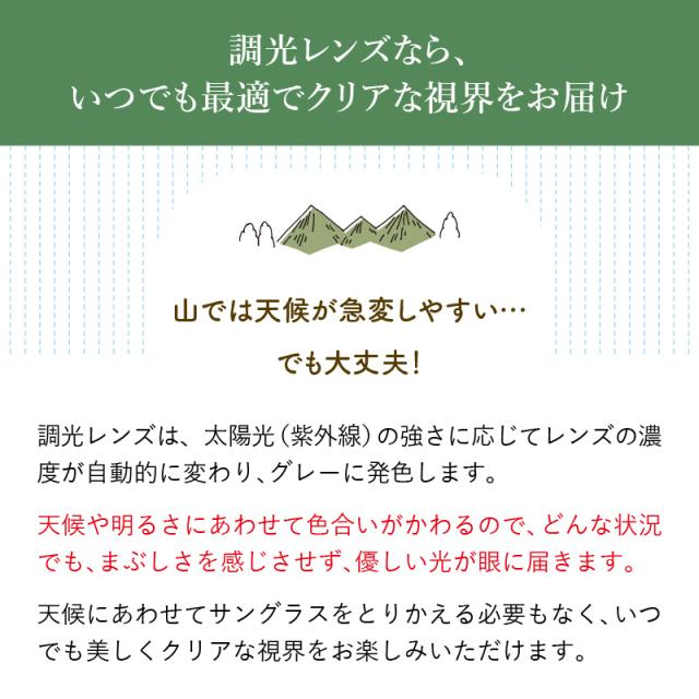 レビューでポイント10倍デー】ネオグラス 調光 偏光サングラス 調光