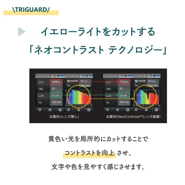 鯖江 サングラス トライガード 【レビューでポイント10%還元】 調光サングラス メガネ 眼鏡 薄い色 目に優しい UVカット メラニン抑制 メンズ レディース TRIGUARD クリアレンズ 高品質 白内障 術後 保護メガネ ブルーライトカット 花粉症 TR803 8351 1525 BV024 PB101_5