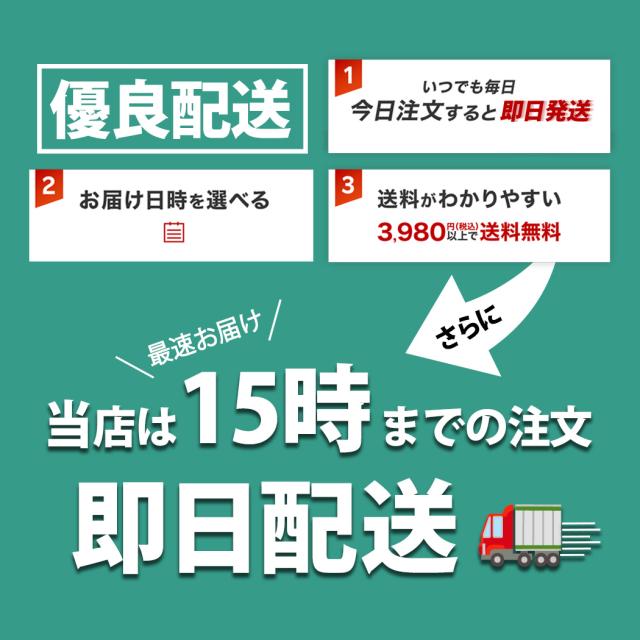 海外限定 Mizuno ミズノ LG60S スエード 薄底 スニーカー BROWN ( 日本