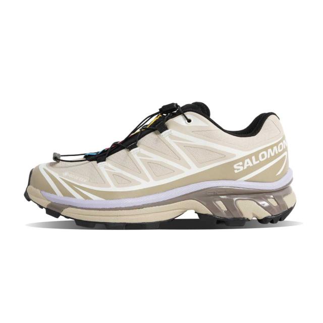 SALOMON サロモン XT-6 GTX ゴアテックス スニーカー EUCALYPTUS SILVER SAGE COSMIC SKY ( GORE-TEX ベージュ レディース L49202300 )_1