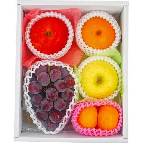 【送料無料/直送】旬を味わうフルーツ詰め合わせの通販は
