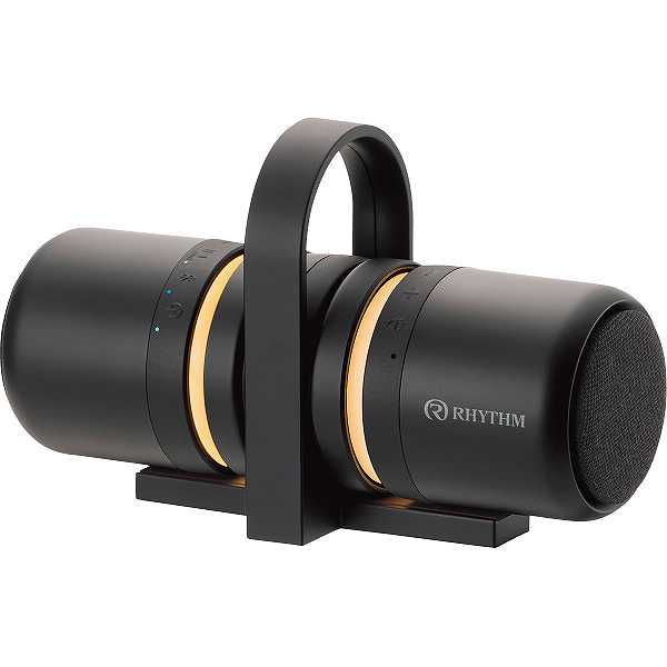 ほぼ未使用！SONY α7RIII ILCE-7RM3 ソニーストア購入/38万