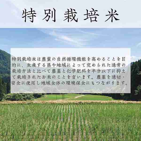 【直送/送料無料】山形県置賜産　つや姫特別栽培５ｋｇ_4