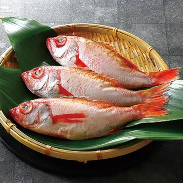 |カタログギフト| 【土日祝日も発送】【安心の宅配便/送料無料】 グルメ ギフト券 SLコース 海の幸・大地の恵み 内祝い 結婚祝い 出産祝い お祝い ギフトセット 粗品 結婚 出産 グルメ 法事 香典返し 法人 法事・景品等に 税込23100円コース_13