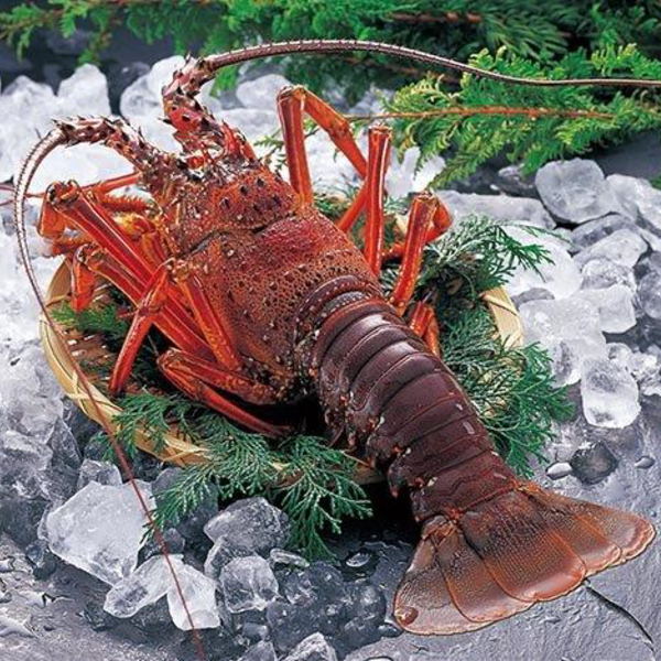 |カタログギフト| 【土日祝日も発送】【安心の宅配便/送料無料】 グルメ ギフト券 SRコース 海の幸・大地の恵み 内祝い 結婚祝い 出産祝い お祝い ギフトセット 粗品 結婚 出産 グルメ 法事 香典返し 法人 法事・景品等に 税込34100円コース_10
