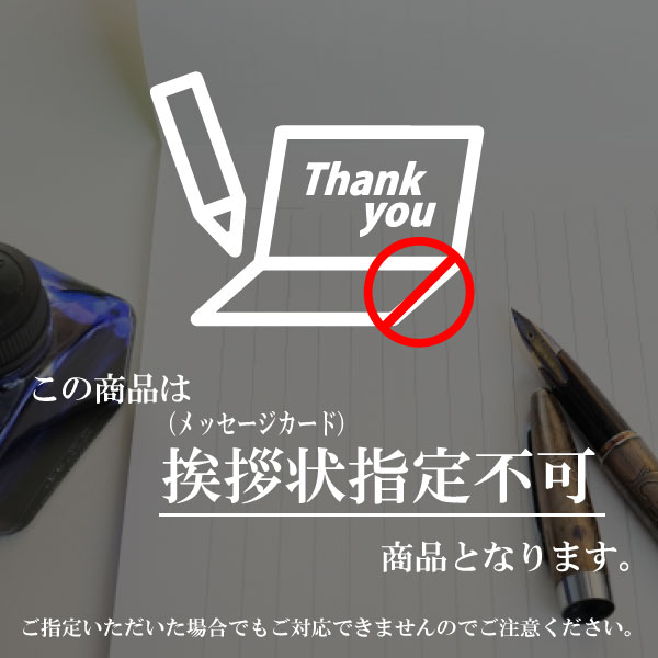 【送料無料】|ＳＯＮＡＥＮＯ クッション型多機能寝袋| プレゼント/お祝い 結婚祝い 出産祝い 出産内祝い 内祝い お返し 快気祝い 新築内祝い 引き出物 法事 香典返しの通販は