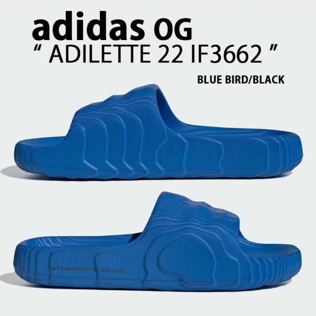 adidas originals アディダス  サンダル ADILETTE 22 SLIDE SANDAL BLUE BIRD IF3662 アディレッタ スライドサンダル 一体型 ブルーバード