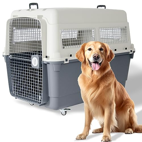 新品プチリュバン 【 IATA 基準クリア】クレート 120 3XL 大型犬用 数量限定，新作登場 プチリュバン 【 IATA 基準クリア】デラックス