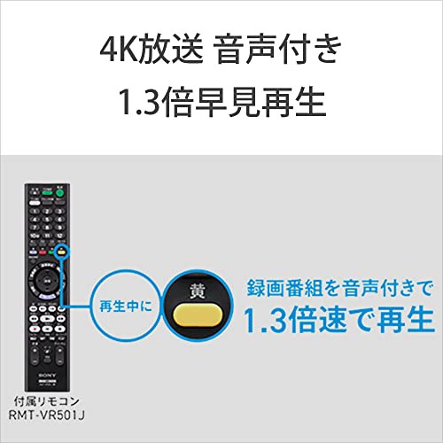 ソニー 1TB 2チューナー 4K ブルーレイレコーダー BDZ-FBW1100 4K放送長時間録画/W録画対応(2021年モデル)の通販はau  PAY マーケット - さくらSTORE | au PAY マーケット－通販サイト