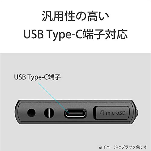 ソニー ウォークマン 16GB Aシリーズ NW-A105 : ハイレゾ対応 / MP3プレーヤー / bluetooth / microSD対の通販はau  PAY マーケット - さくらSTORE | au PAY マーケット－通販サイト