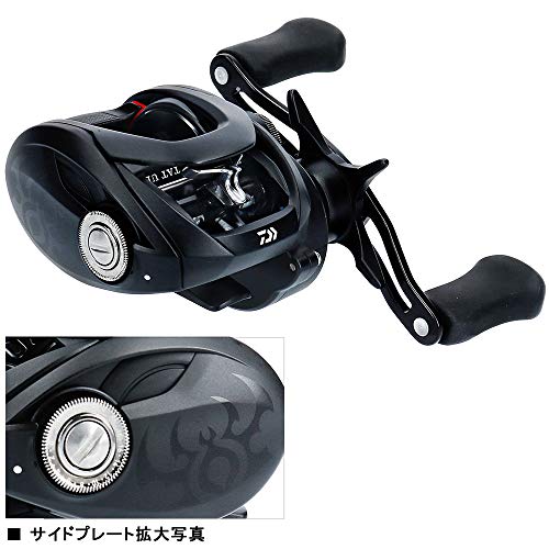 ダイワ(DAIWA) ベイトリール 19 タトゥーラ TW 100XHL(2019