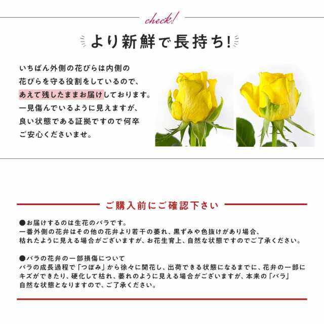 あす楽13時まで 紫バラ20本の花束 生花 ムラサキバラ 東京銀座