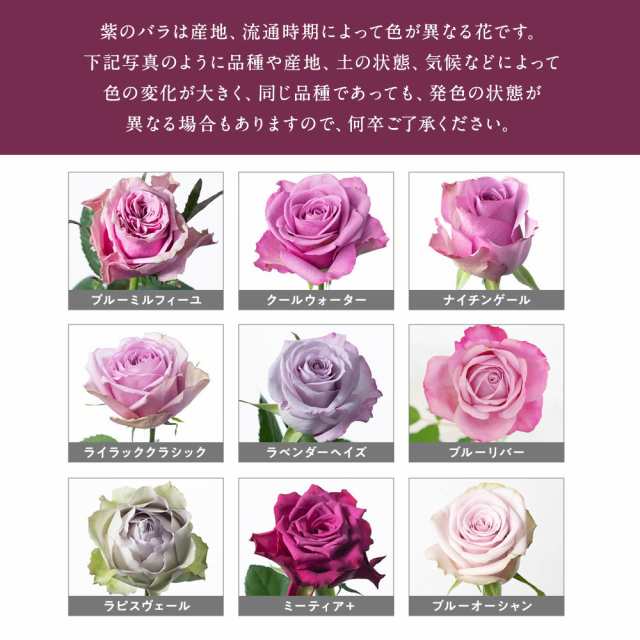 あす楽13時まで 紫バラ20本の花束 生花 ムラサキバラ 東京銀座