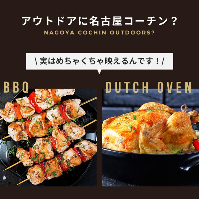 【7-8人前】純系 名古屋コーチン BBQセット 冷凍 国産 高級 地鶏 計20本 焼き鳥セット バーベキュー キャンプ アウトドア もも むね つくね 鶏皮 鶏肉 お肉 やきとり たれ しお 業務用 大容量 送料無料 お取り寄せ ギフト_2