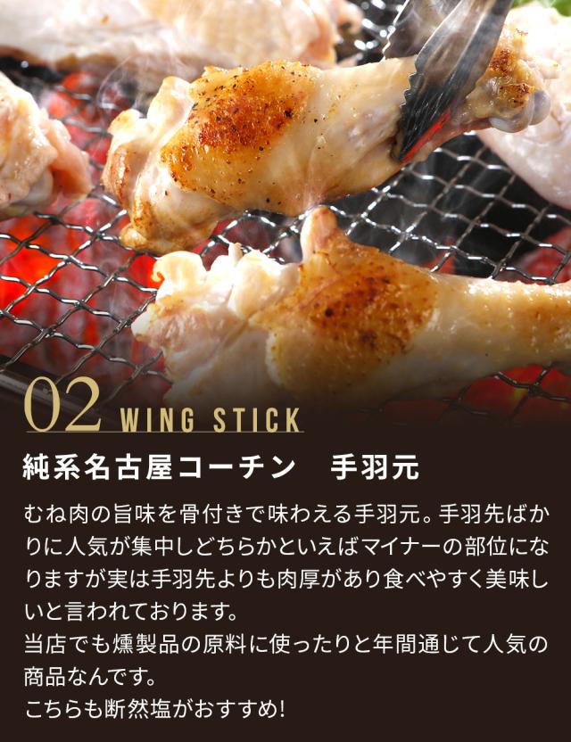 【7-8人前】純系 名古屋コーチン BBQセット 冷凍 国産 高級 地鶏 計20本 焼き鳥セット バーベキュー キャンプ アウトドア もも むね つくね 鶏皮 鶏肉 お肉 やきとり たれ しお 業務用 大容量 送料無料 お取り寄せ ギフト_7