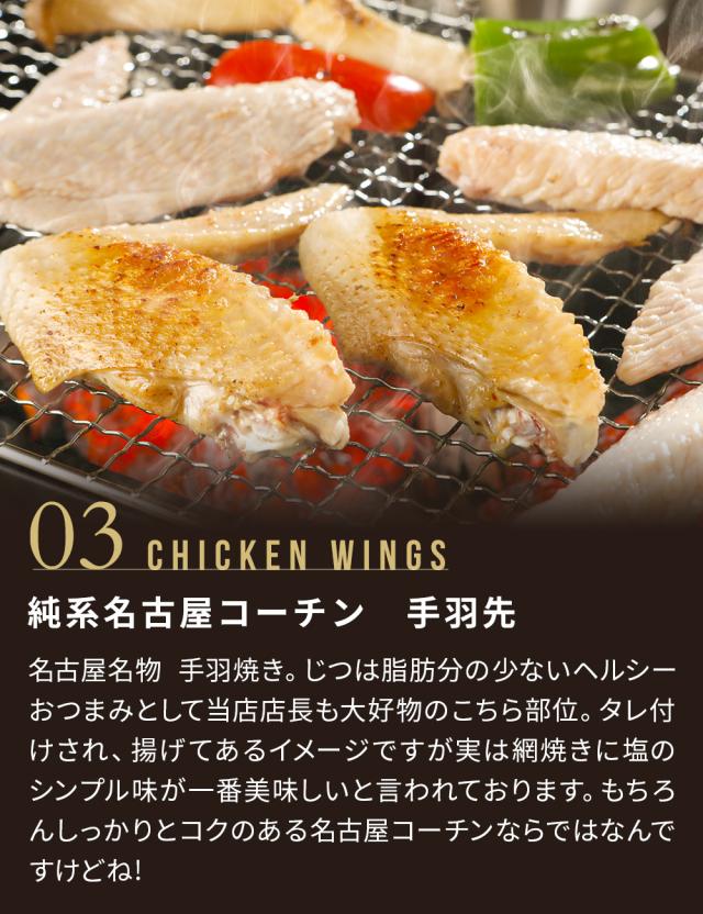 【7-8人前】純系 名古屋コーチン BBQセット 冷凍 国産 高級 地鶏 計20本 焼き鳥セット バーベキュー キャンプ アウトドア もも むね つくね 鶏皮 鶏肉 お肉 やきとり たれ しお 業務用 大容量 送料無料 お取り寄せ ギフト_8