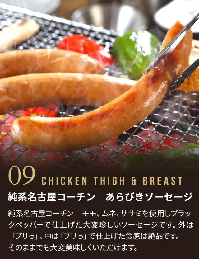 【7-8人前】純系 名古屋コーチン BBQセット 冷凍 国産 高級 地鶏 計20本 焼き鳥セット バーベキュー キャンプ アウトドア もも むね つくね 鶏皮 鶏肉 お肉 やきとり たれ しお 業務用 大容量 送料無料 お取り寄せ ギフト_14