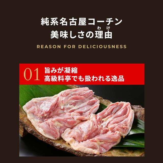 【7-8人前】純系 名古屋コーチン BBQセット 冷凍 国産 高級 地鶏 計20本 焼き鳥セット バーベキュー キャンプ アウトドア もも むね つくね 鶏皮 鶏肉 お肉 やきとり たれ しお 業務用 大容量 送料無料 お取り寄せ ギフト_15