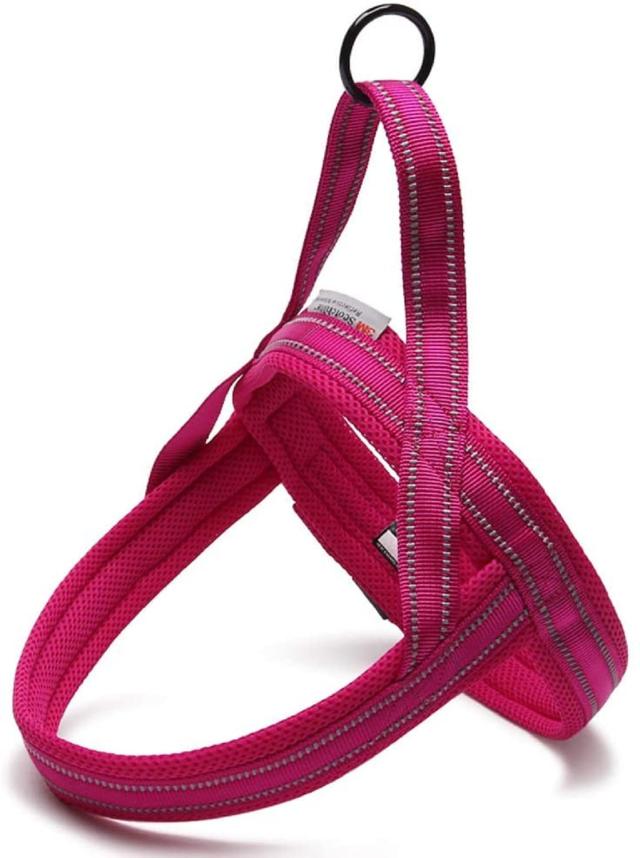 XSサイズ (x 1)_パープル cocomall 喉に優しい犬ハーネス TRUE LOVE日本授権店 犬用ハーネス 犬用胴輪 ドッグ ペット用品 ハーネスリード 3M反射材料 訓練 ナイロン製 小型犬、中型犬、大型犬に向け 通気性 調節可能 夏に対応 (XS， パープル)の通販は