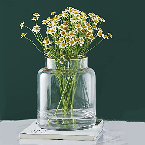 クリヤ 金縁-小（高さ:18cm） 花瓶 ガラス 透明 花器 フラワーベース ガラスベース ガラスボトル アレンジ インテリア 水栽培 生け花 造花 おしゃれ シンプル インテリアの通販は 5,362円