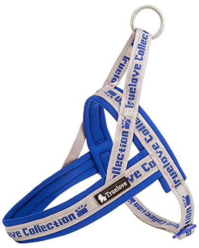 L_ブルー＆グレー cocomall 喉に優しいハーネス 2022最新 TRUE LOVE日本授権店 犬用ハーネス 犬用胴輪 ドッグ ペット用品 ハーネスリード 3M反射材料 訓練 ネオプラン素材 小型犬、中型犬、大型犬に向け 通気性 調節可能 夏に対応 (L， ブルー＆グレー)の通販は 5,355円