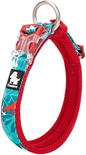 XXL_blue＆red cocomall日本授権店 犬首輪 犬の首輪 犬用訓練首輪 小型、中型、大型犬用首輪 ペット用品 3M反射材料 ナイロン製 通気性 弾力性 ソフト 調節可能 ハーネス リード (XXL， blue＆red)の通販は